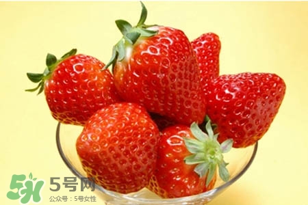 3月份可以摘草莓嗎？三月份有草莓可以摘嗎？