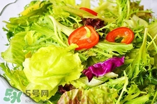 4月份可以種什么菜？四月份種什么菜好？
