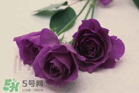 4月份適合種什么花？四月份種什么花好？