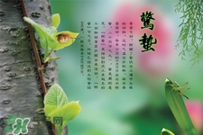 驚蟄節(jié)氣要注意什么？驚蟄節(jié)氣養(yǎng)生注意事項(xiàng)