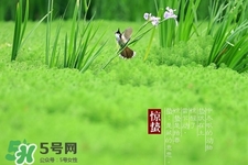 驚蟄如何養(yǎng)生？驚蟄前后如何養(yǎng)生？
