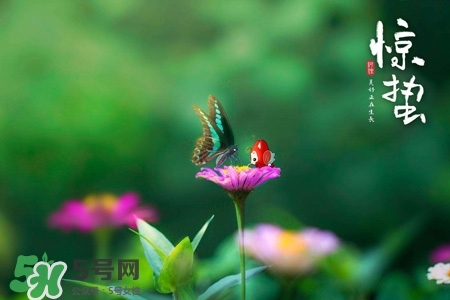 驚蟄如何養(yǎng)生？驚蟄前后如何養(yǎng)生？