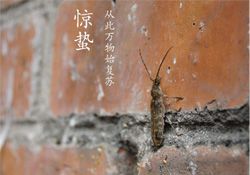 驚蟄可以去掃墓嗎？驚蟄可以去上墳嗎？