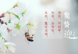 驚蟄怎么打小人？驚蟄如何打小人？