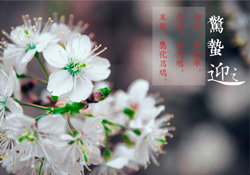 驚蟄為何要打小人？驚蟄為什么要打小人？