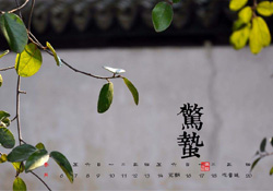 驚蟄可以動針線嗎？驚蟄為什么不動針線？