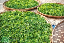 4月份喝什么茶好？四月份適合喝什么茶？