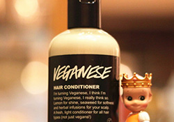 lush護(hù)發(fā)素哪個好？lush護(hù)發(fā)素推薦
