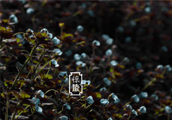 驚蟄節(jié)氣要注意什么？驚蟄節(jié)氣養(yǎng)生注意事項(xiàng)