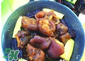含膠原蛋白的食物有哪些？什么食物含膠原蛋白最多？