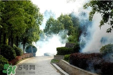 4月份可以溫泉泡嗎？四月份還有溫泉泡嗎？
