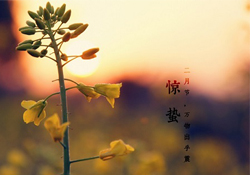 驚蟄能去廟里祈福嗎？驚蟄要去廟里祈福嗎？