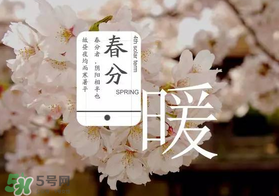 春分種什么菜？春分適合種什么菜？