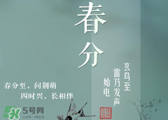 春分種什么菜？春分適合種什么菜？