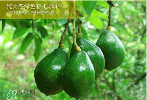 牛油果可以放多久？牛油果放冰箱能放多久？