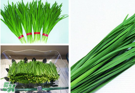 驚蟄前后可以種什么？驚蟄前后種什么蔬菜？