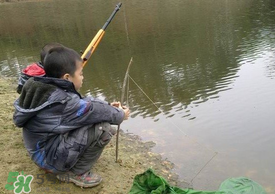 驚蟄能釣魚嗎？驚蟄釣什么魚好？