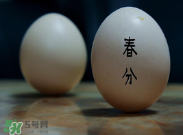 春分為什么能豎蛋？春分豎蛋原理