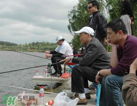 驚蟄過后好釣魚嗎？驚蟄后陰雨天好釣魚嗎？
