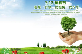 植樹節(jié)為什么要種樹？植樹節(jié)種樹的意義