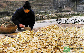 2017年什么時候攔社？2017年新墳攔社是哪一天？