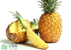 三月份什么水果上市？3月份什么水果上市？