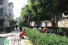 清明節(jié)可以曬衣服嗎？清明節(jié)為什么不能曬衣服？