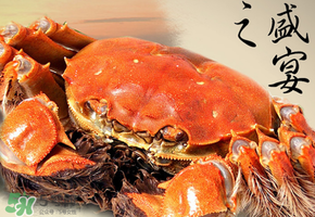 3月份還有大閘蟹嗎？3月份的大閘蟹能吃嗎？