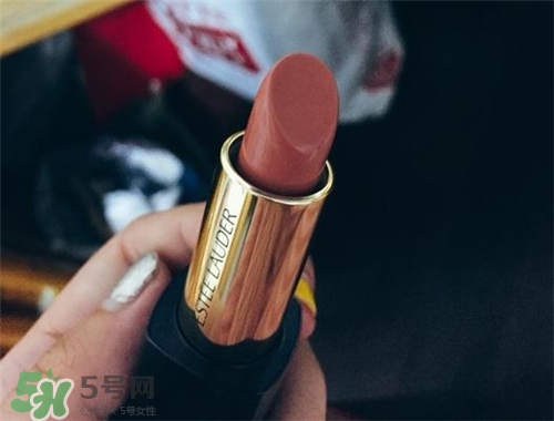 雅詩蘭黛envy110多少錢？雅詩蘭黛傾慕唇膏110價格