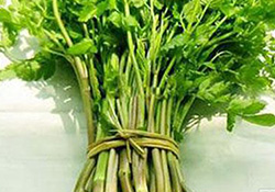 孕婦可以吃野芹菜嗎？孕婦吃野芹菜有什么好處？