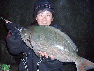 3月份釣魚用什么餌料？三月份釣魚用什么魚餌？