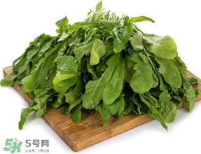 薺菜葉子黃了能吃嗎？薺菜發(fā)黃能吃嗎？