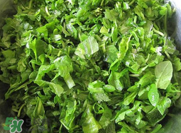 薺菜怎么洗？薺菜怎么洗才干凈？