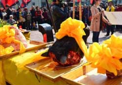 春分可以祭祀嗎？祭祀在春分前還是后？