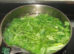薺菜焯水后冷凍好嗎？薺菜焯水后能放多久？