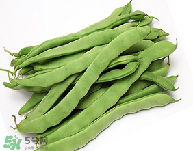 三月份可以種豆角嗎？豆角幾月份種？