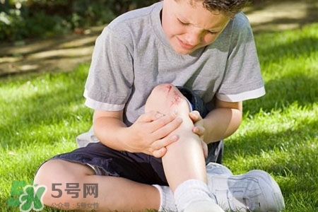 骨質(zhì)疏松要補鈣嗎？骨質(zhì)疏松補什么好？