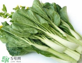 青菜苔可以吃嗎？青菜苔怎么做好吃？
