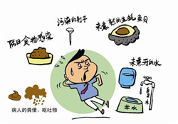 諾如病毒感染要隔離嗎？諾如病毒會(huì)傳染嗎？