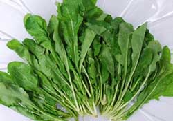 薺菜能和青菜一起吃嗎？薺菜和青菜一起吃好嗎？