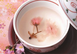 桃花酒孕婦可以喝嗎？懷孕了能喝桃花酒嗎？