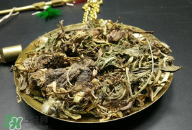 干的蒲公英多少錢一斤？蒲公英多少錢一斤干的？