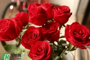 什么東西清火效果好？什么東西清火最快？