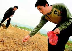 三月份可以種花生嗎？花生幾月份播種比較好？