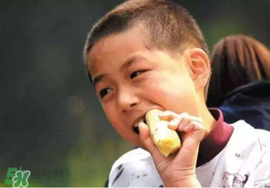 春天能吃甘蔗嗎？春天吃甘蔗有什么好處？