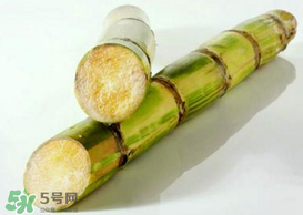 春天能吃甘蔗嗎？春天吃甘蔗有什么好處？