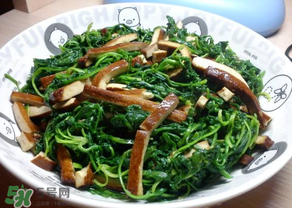 薺菜吃多了會中毒嗎？吃薺菜中毒怎么辦？
