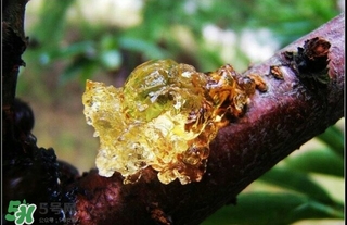 吃什么對皮膚好？怎么吃皮膚好？