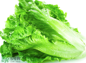 春天能種生菜嗎？生菜春天可以種嗎？