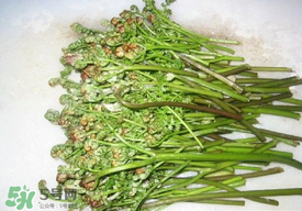 蕨菜怎么去苦味？蕨菜怎么做不苦？